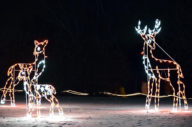 Deer lights